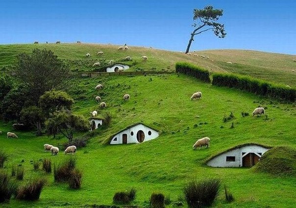 Хоббитон (Hobbit s holes) - местечко в Новой Зеландии, где снимался фильм "Властелин колец". Находится около городка Матамата (Matamata), Северный остров. Хоббитон был построен на территории частной овцеводческой фермы.