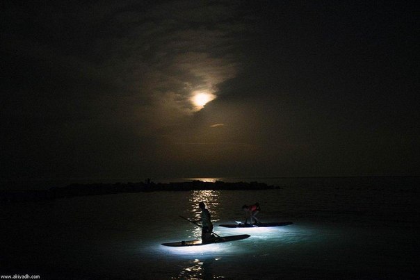 Люди плывут на лодках при свете Луны у берегов Торонто, Канада.