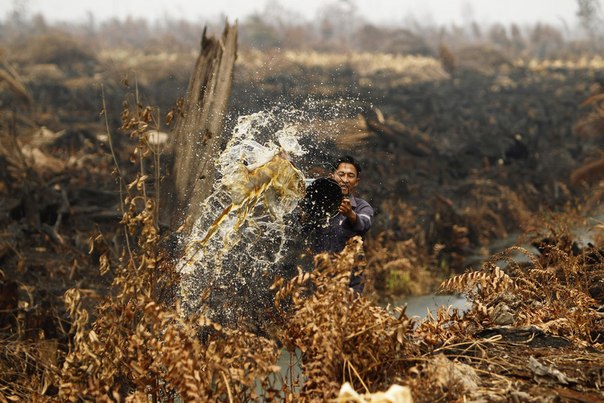 Рабочий тушит пожар на ананасовой плантации в Нижнем Рокане, провинция Риау, Индонезия.