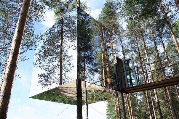 10 самых удивительных отелей на деревьях