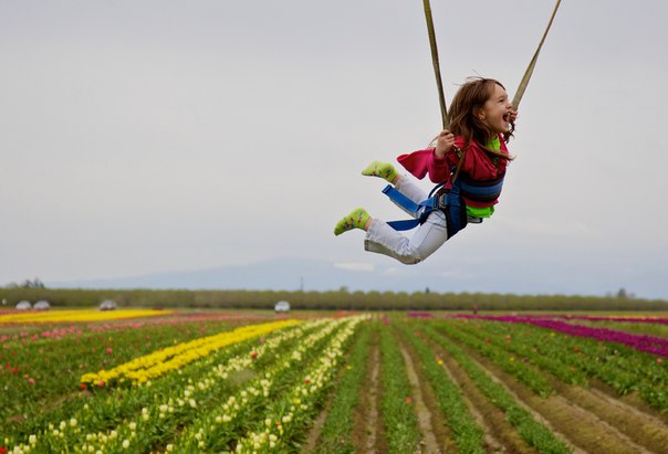 Четырехлетняя Оливия Беллин из Салема, штат Орегон, летит над полем тюльпанов на ферме «Wooden Shoe Tulip Farm» близ Вудберна, штат Орегон, 10 апреля 2012 года.