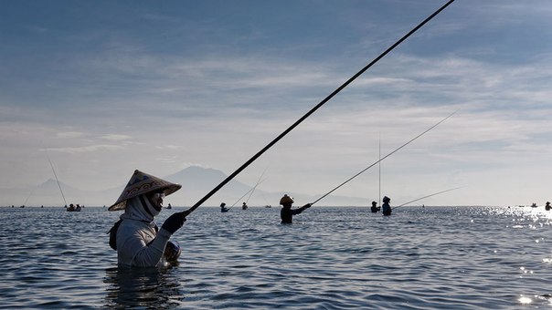 Рыбаки на Бали. Во время рыбалки они стоят в воде по многу часов. Многие из них носят спасательные жилеты, потому что не умеют плавать. 