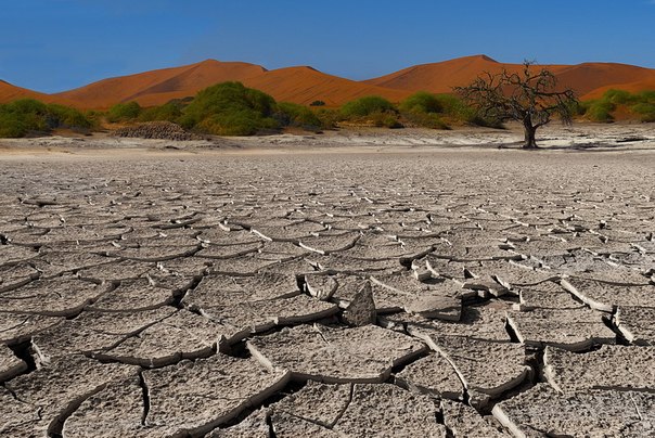Пустыня Намиб, Намибия.