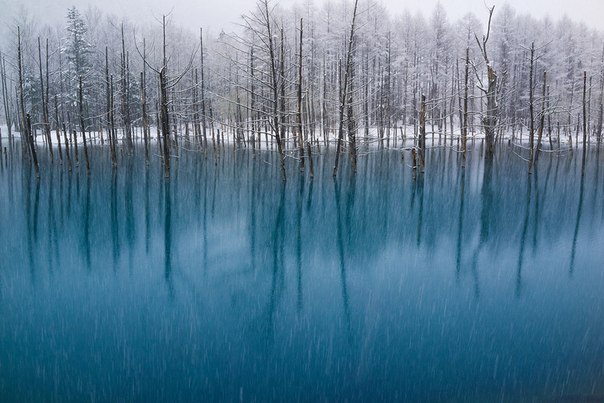 «Голубой пруд во время майского снегопада».