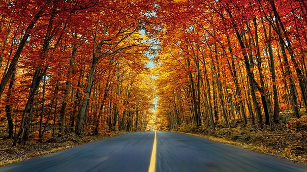 Осень в Онтарио, Канада. 