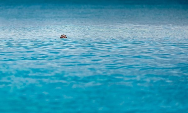 Маленький островок счастья у берегов Майами-Бич, штат Флорида.