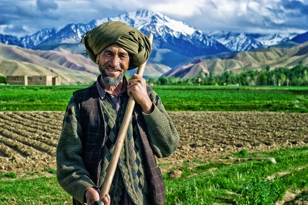 Зелень Афганистана.