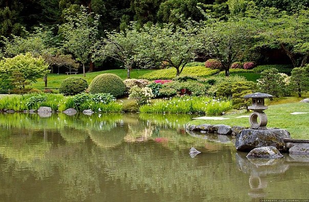 Японский сад в Сиэтле, США