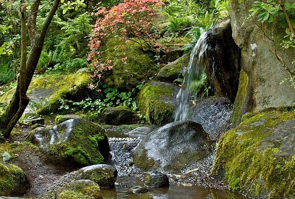 Японский сад в Сиэтле, США