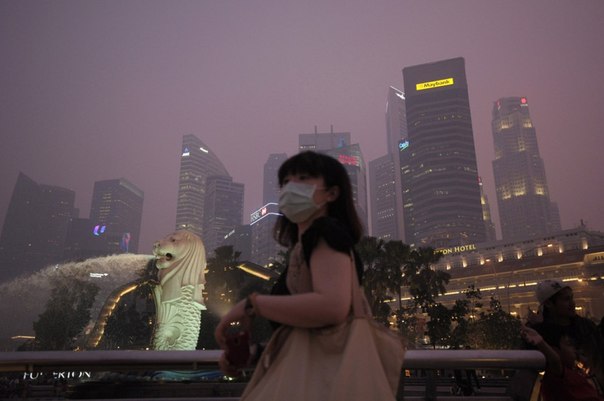 Сингапур в дыму
