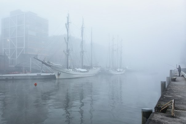 Туманное утро, Гамбург, Германия.