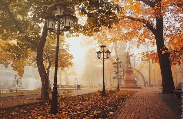 Воронеж в тумане.