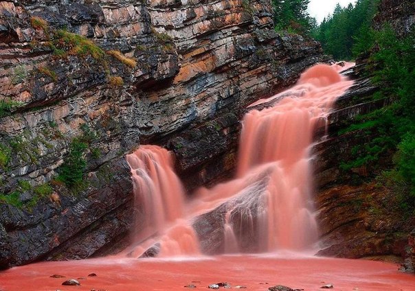 Проливные дожди в национальном парке Уотертон-Лейкс (Канада) размыли горную породу – красный аргиллит – и перекрасили водопад.