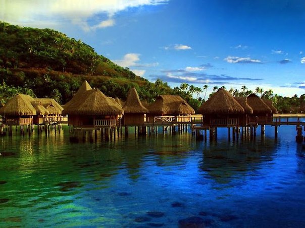 Муреа (Moorea) - небольшой тропический остров во Французской Полинезии.