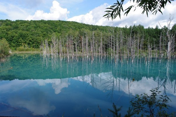 Голубое озеро на острове Хокайдо. 