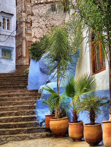 Марокканский город Шефшауен, основанный в XV веке, обладает неповторимым характером и колоритом. Голубой город — имено так можно коротко охарактеризовать его: почти каждый дом здесь окрашен в синий/голубой цвет. 
