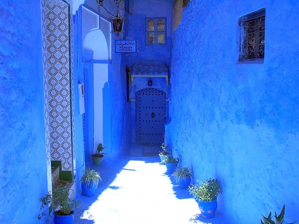 Марокканский город Шефшауен, основанный в XV веке, обладает неповторимым характером и колоритом. Голубой город — имено так можно коротко охарактеризовать его: почти каждый дом здесь окрашен в синий/голубой цвет. 