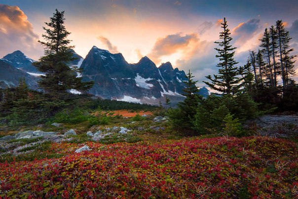 Пейзажи Канады от Кевина МакНила (Kevin McNeal)