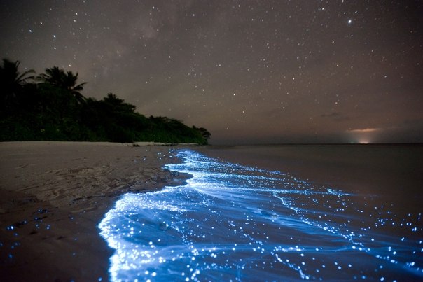 Светящийся планктон на пляже острова Ваадху, Мальдивы.