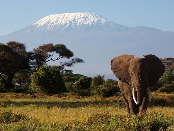 Килиманджаро, Кения.