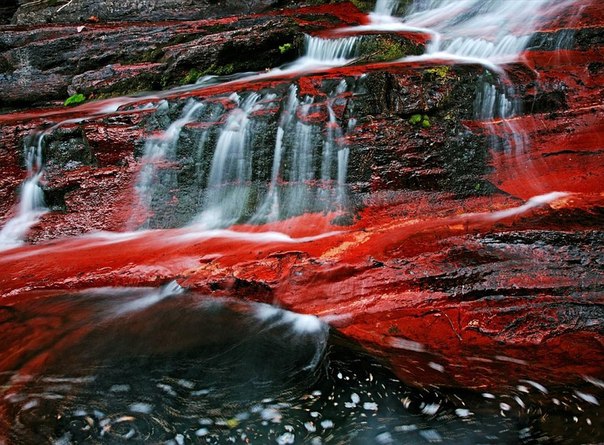 Красные скалы. Богатые железом скалы и водопад в национальном Парке Глейшер в штате Монтана. 
