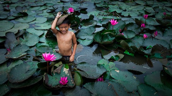 Счастливый ребенок купается в пруду с лотосами.