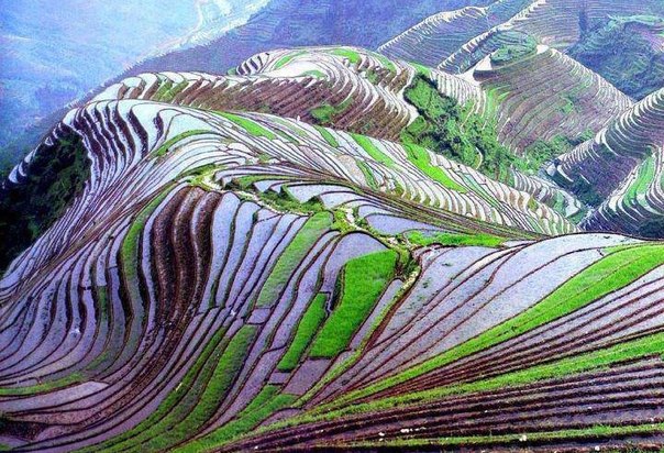 Террасные рисовые поля, провинция Юньнань, Китай.