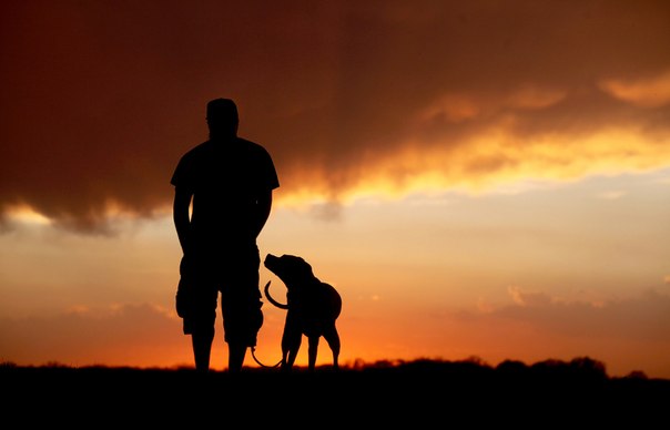 Мужчина и его пёс наблюдают за приближением грозы в Lac LaBelle, штат Висконсин