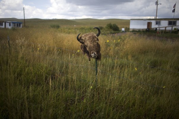 Аарон Хьюи (Aaron Huey) в течение семи лет фотографировал индейцев оглала-лакота в резервации Пайн-Ридж в Южной Дакоте. В своей новой книге «Mitakuye Oyasin» Хьюи освещает жизнь людей, рядом с которыми он провёл так много времени. Все фотографии сделаны в период с 2006 по 2013 годы.