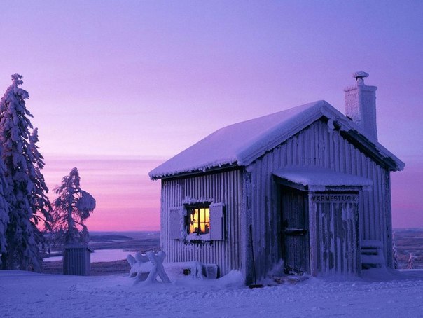 Самые красивые фотографии морозной зимы