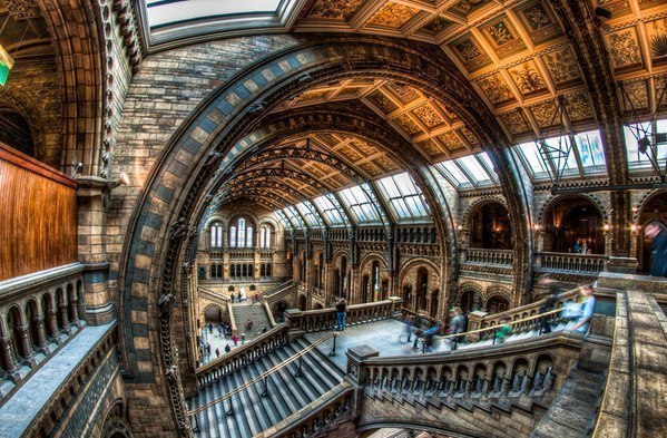 Музей естественной истории, Лондон, Великобритания.