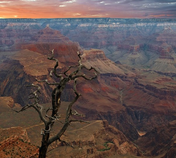 Гранд-Каньон (США) — один из глубочайших каньонов в мире.