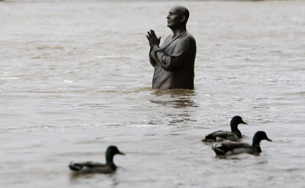 Утки проплывают мимо статуи проповедника Шри Чинмоя в затопленной Праге, Чехия.