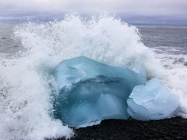 Айсберг прибило к берегу на Земле Георга. Ярко-синий цвет обусловлен большим возрастом льда — в нем практически отсутствуют воздух и примеси. 