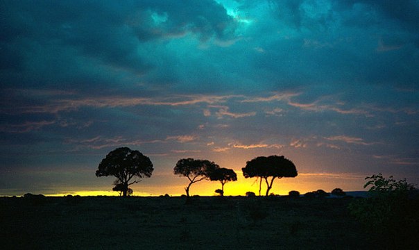 Закат в Масаи-Мара, Кения.