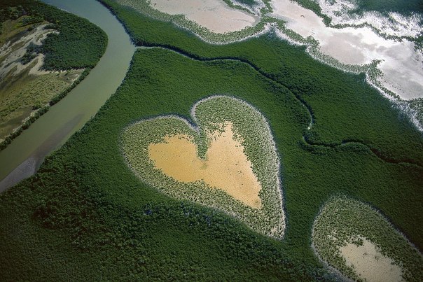Естественное образование мангровой растительности, которая по форме напоминает сердце. 