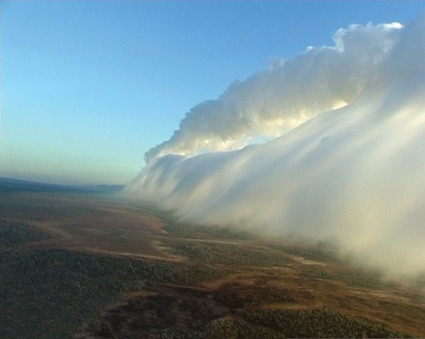 Утренняя глория (англ. Morning Glory) — редкое метеорологическое явление, вид облаков, наблюдаемый в заливе Карпентария на севере Австралии.