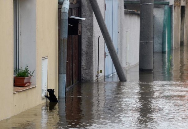 Наводнение в Центральной Европе — лучшие фотографии