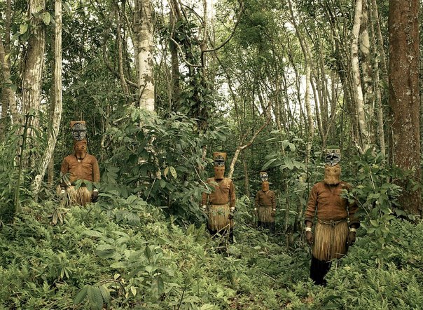Стражи леса. Посреди джунглей колумбийской Амазонии стоят индейцы, одетые в традиционные племенные одежды. Они исполняют танец в честь плодоносящего дерева Чонтадуро. 