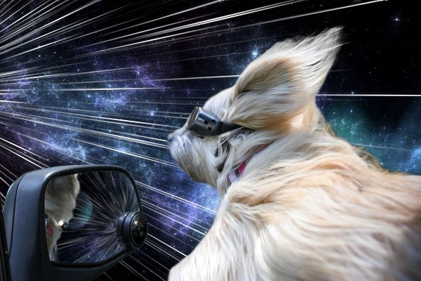 Блоггер Бенджамин Грелль (Benjamin Grelle) создал серию обработанных в фотошопе фотографий под названием Warp Dogs, на которой собаки, высовывающие головы из машин во время езды, выглядят так, словно они путешествуют сквозь пространство и время.