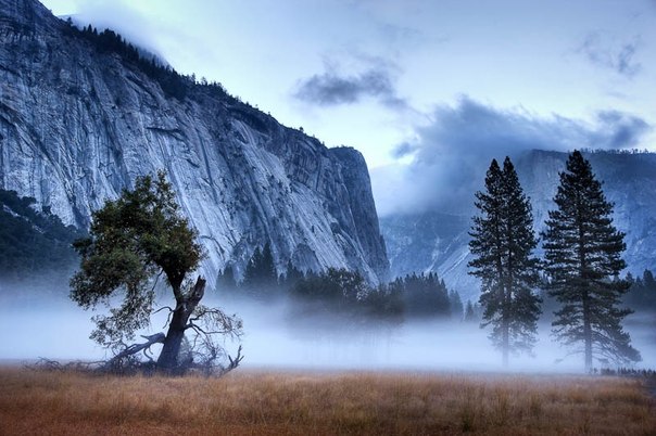 Туманное утро в парке Йосемити, Калифорния, США.