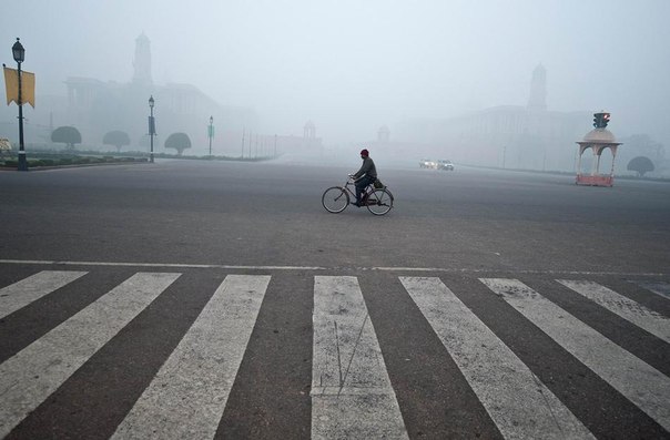 Велосипедист едет по проспекту Раджпатх туманным утром в Нью-Дели, Индия.