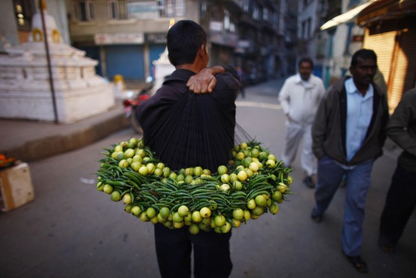 Житель Непала несёт связки из плодов лимона и перца чили в Катманду, 30 октября 2012 года. Непальцы верят, что эти гирлянды очищают дома от отрицательной энергии.