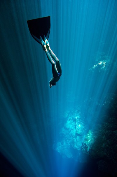 Фридайверы Кристина и Эусебио Саенс де Сантамария, также известные как One ocean One breath, исследуют океаны и другие крупные водоемы по всему миру, ныряя глубоко вниз на одном вдохе. Женатая пара не просто погружается в бескрайние глубины воды, но также снимает свои рискованные подводные приключения на камеру. Во время очередной поездки дуэт фридайверов, взяв с собой только свой Nikon D7000 и набрав побольше воздуха в легкие, погрузился в сеноты полуострова Юкатан в Мексике.