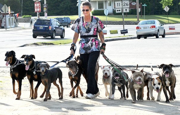 Тина Астон выгуливает своих собак в Поланде, штат Мэн.