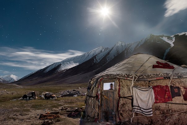 Закрытые одеялами яки отдыхают у юрты молодой киргизской пары.