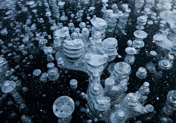 Пузырьки метана в толще льда на озере, Аляска.