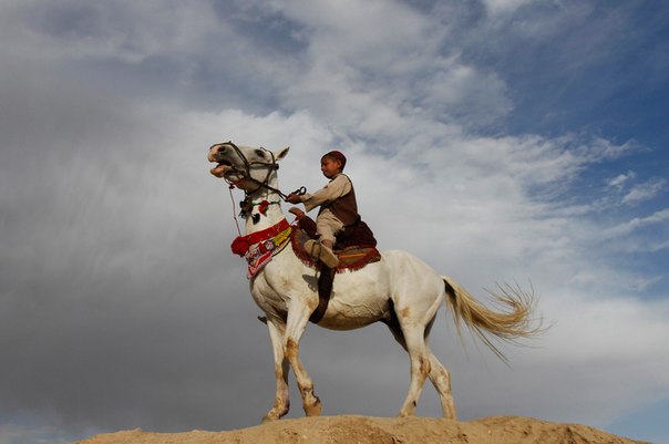 Афганский мальчик скачет на лошади по холму, откуда видно Кабул, Афганистан. 