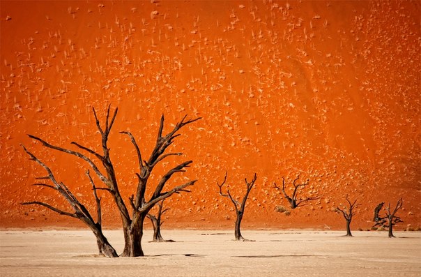 Мертвое плато Соссусфлей в Намибии