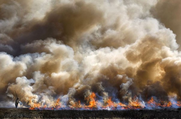 Огонь в национальном парке Йоркширские вересковые поля.